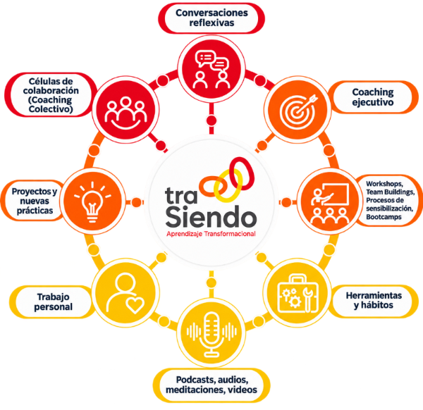 Diagrama circular de la metodología TraSiendo